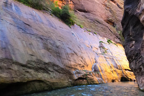 The Narrows canyon with sunlight