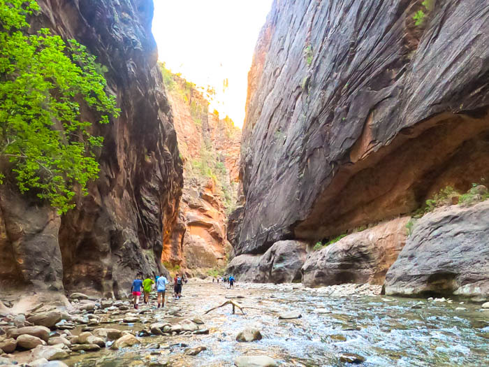 Beginning of bottom-up hike of The Narrows, Zion National Park
