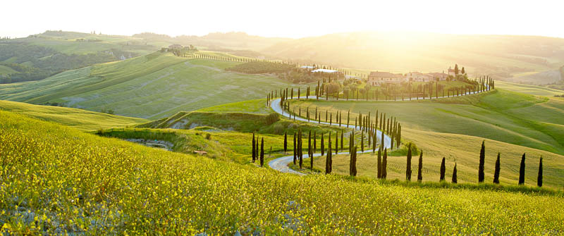 Planning a trip to Tuscany's rolling hills