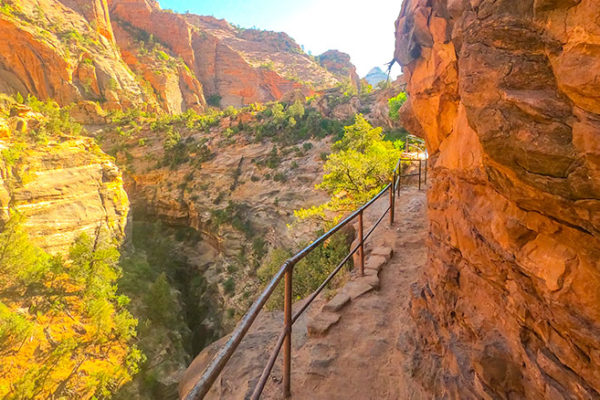 Canyon overlook trail