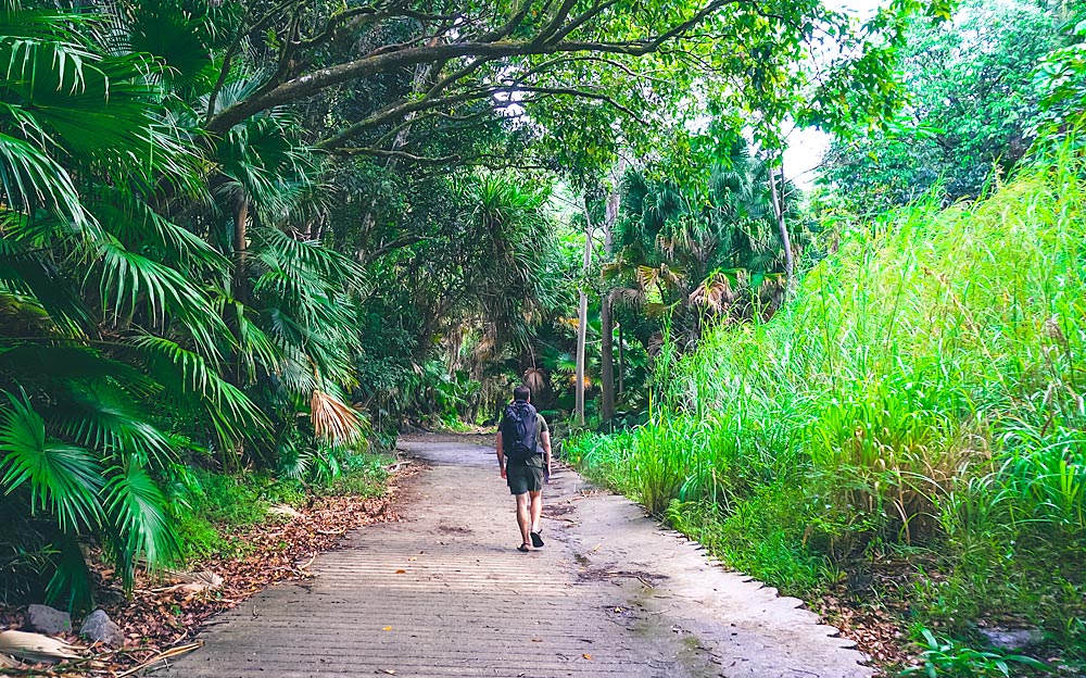 Hiking the Stairway to Heaven: The Legal Back Way - Lost With Jen