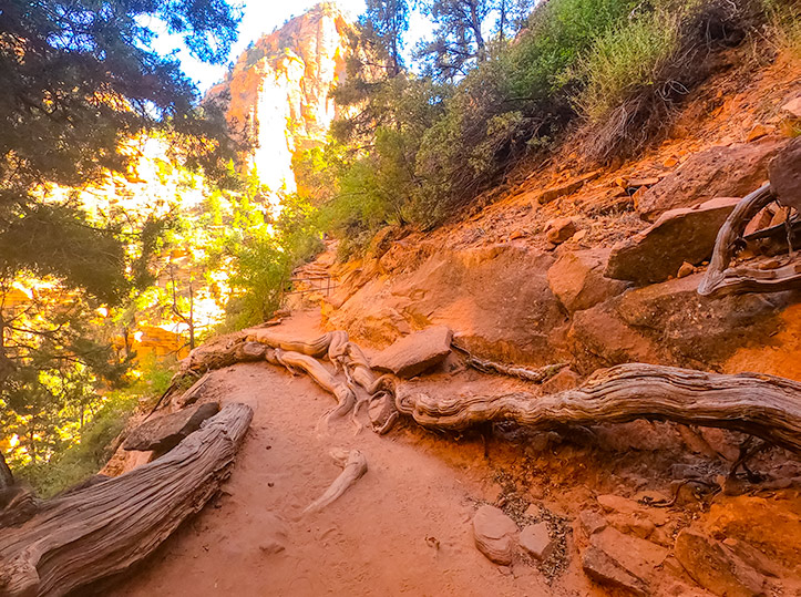 Canyon overlook trail in Zion National Park
