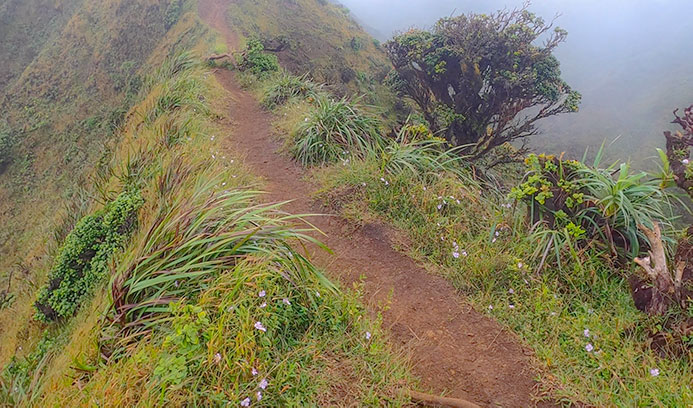 Hiking the Stairway to Heaven: The Legal Back Way - Lost With Jen