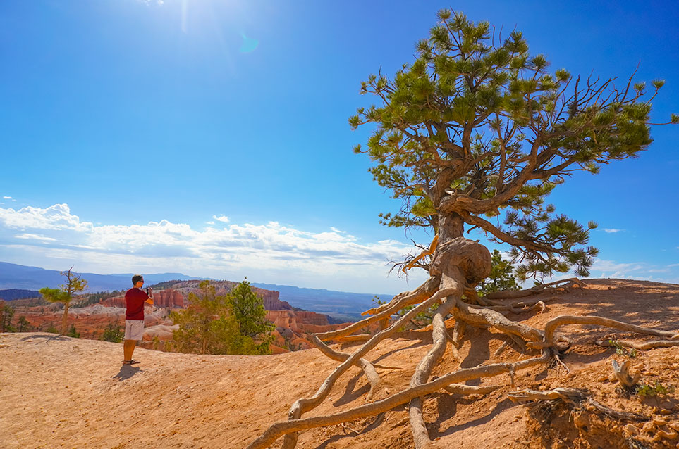 Bryce Canyon desert