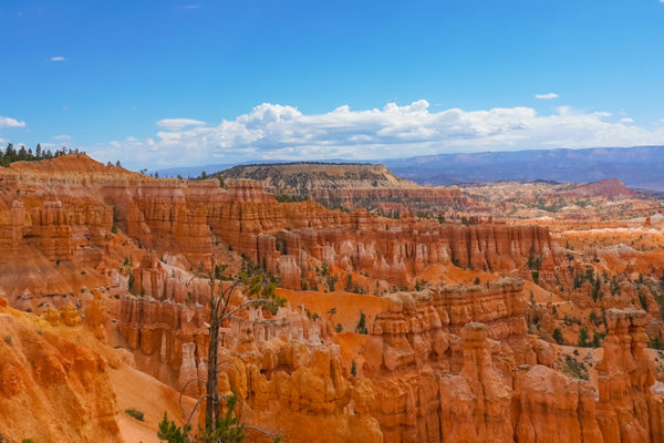 Lookout in Bryce canyon