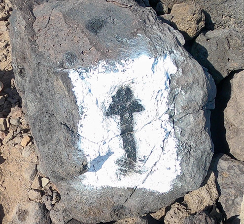 Markings at the Makapuu tidepool