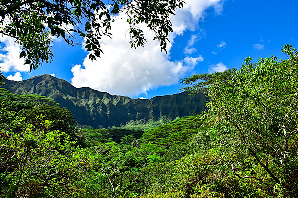 Best hikes on Oahu Maunawili falls