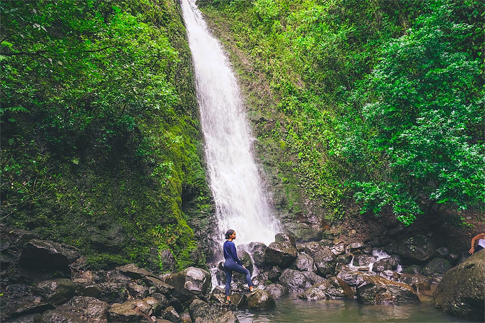 Move to hawaii, jungle waterfall