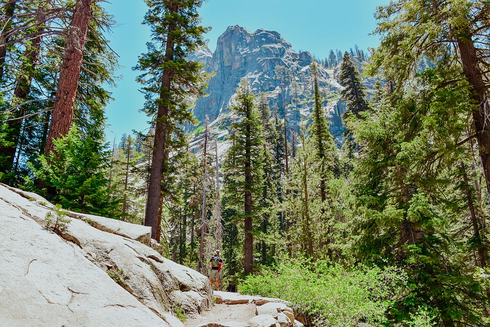 Tokopah Falls Trail