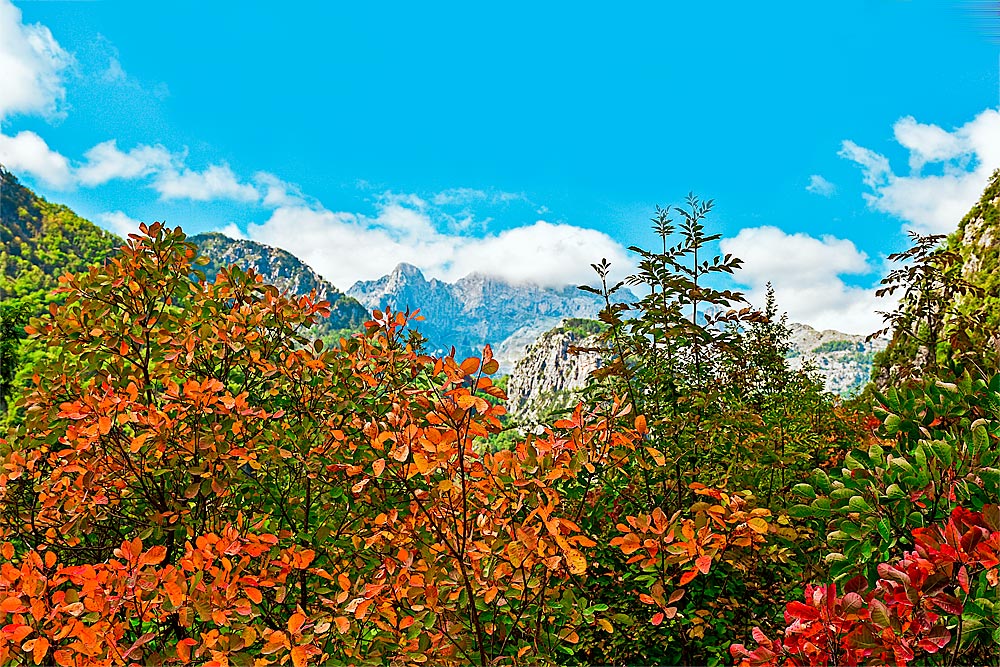 fall in Albania